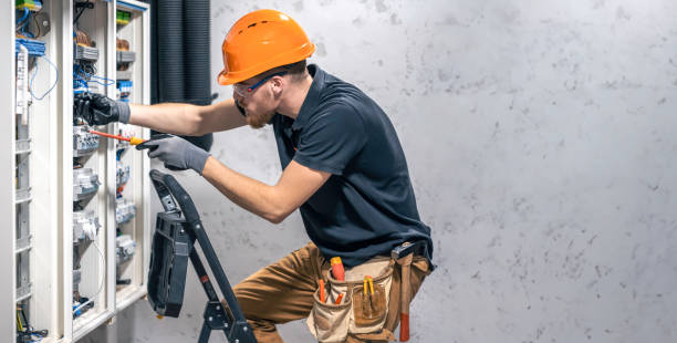 Best Electric Panel Repair  in Palmer Ranch, FL